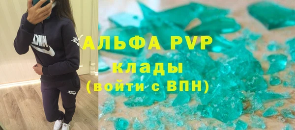 твердый Арсеньев