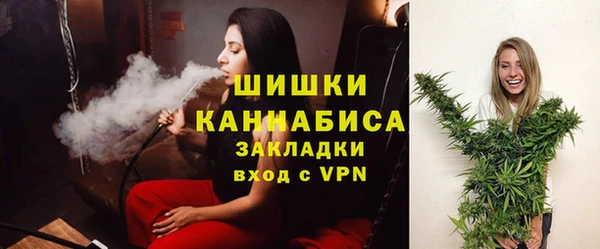 твердый Арсеньев