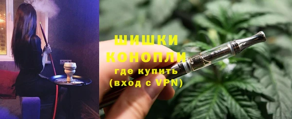 стаф Аркадак
