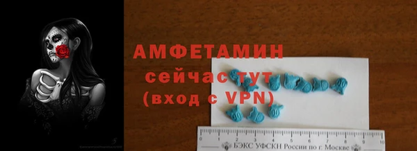 твердый Арсеньев