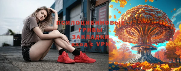 гидра Армянск