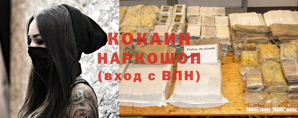 стаф Аркадак