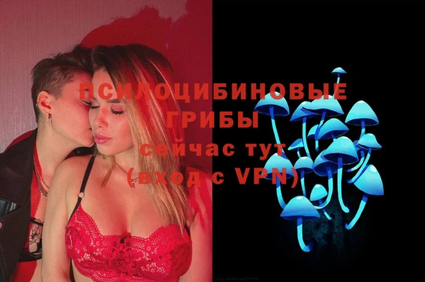 твердый Арсеньев