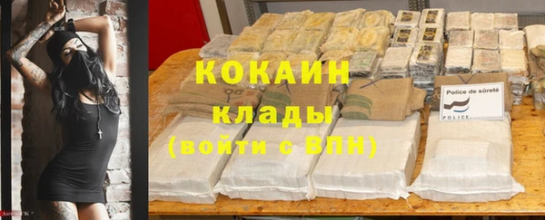 стаф Аркадак