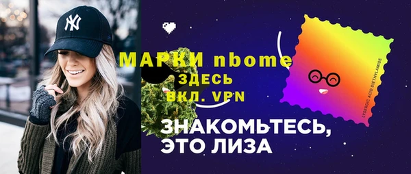 твердый Арсеньев