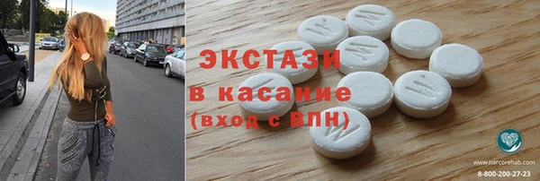 стаф Аркадак